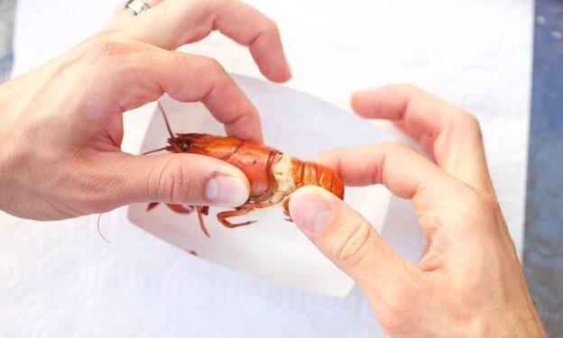 How To Eat Crawfish
