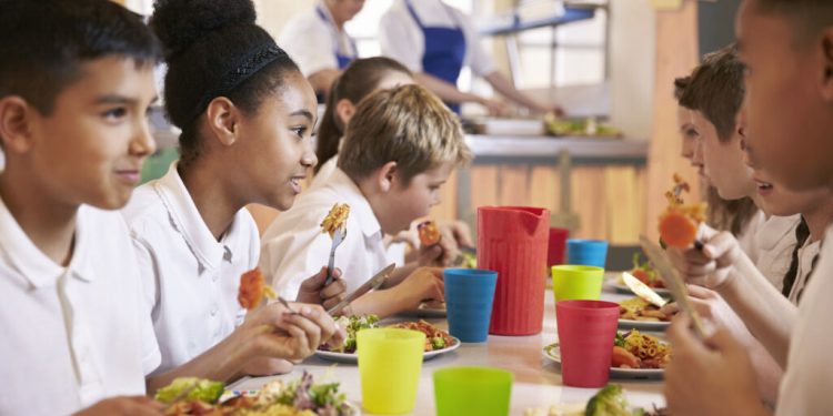 Catering Excellence: Crafting Unforgettable Culinary Experiences for Every Occasion